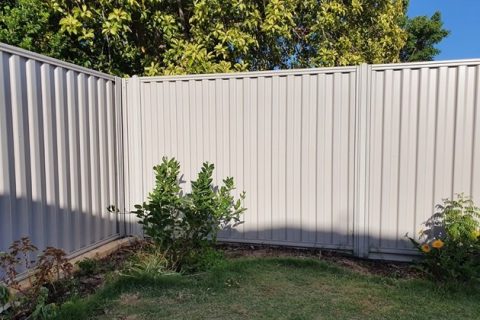 Colorbond fence in a residential backyard