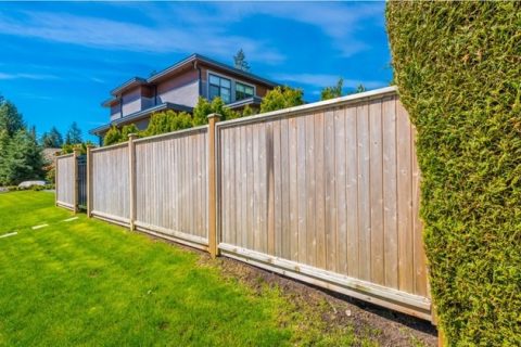 Durable timber fence panels